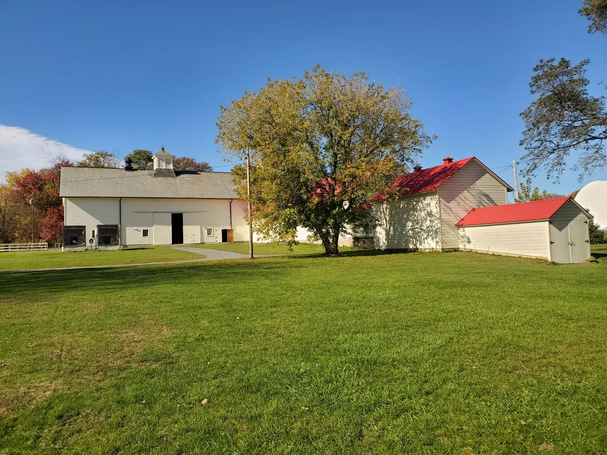 Barn buildings and autumn trees across a lawn at the Watervliet Shaker Historic District